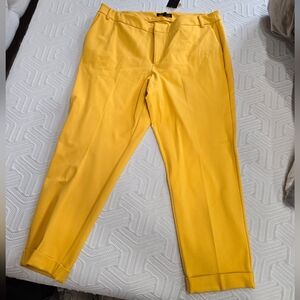 Eloquii suit pants NWT size 18